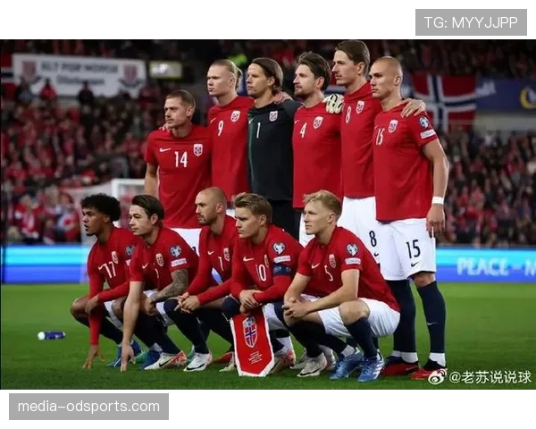丹麦队近期在欧预赛小组中表现稳定，凭借中场组织与防守稳固收获关键积分