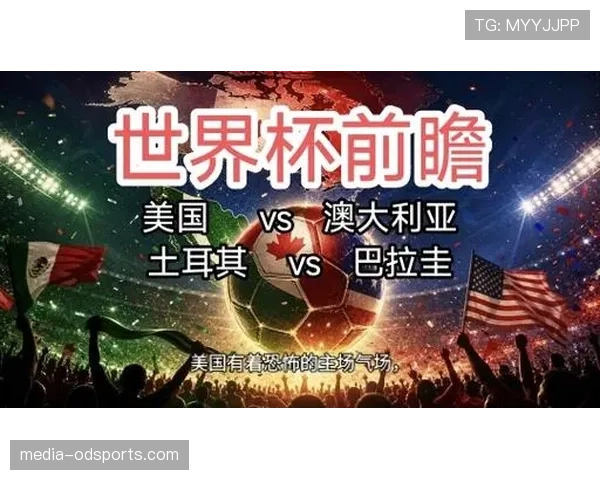 土耳其3-2美国：世界杯D组末轮战报